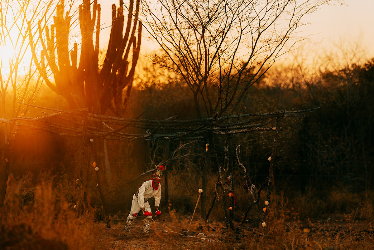 featured danza del venado cecyte sinaloa fotolive