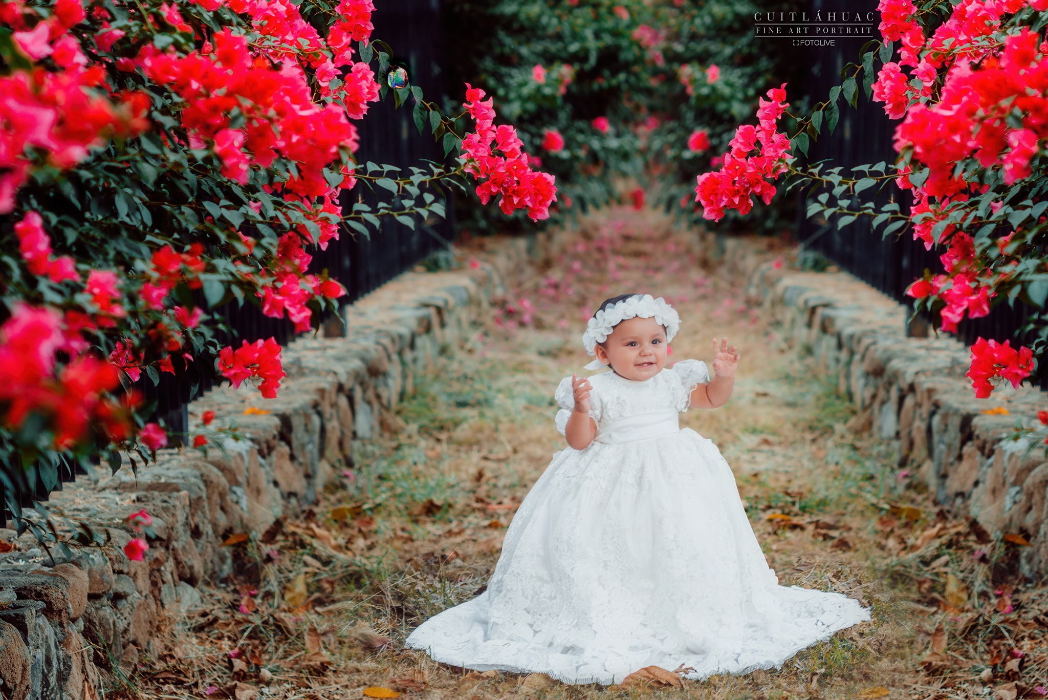 La pequeña Sara con un ropón blanco de Bautizo sentada frente a un vibrante muro de flores rosas, en una sesión de fotografía Fine Art en el Jardín Botánico de Culiacán por FOTOLIVE.