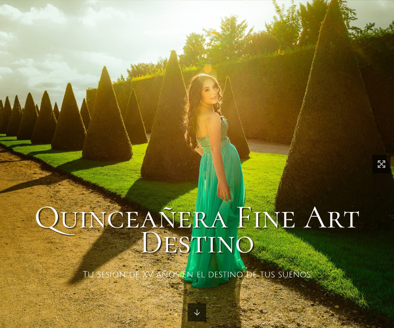 Ls Project 40 Slide 1